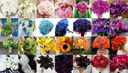 Как выбирать цветы - Флора